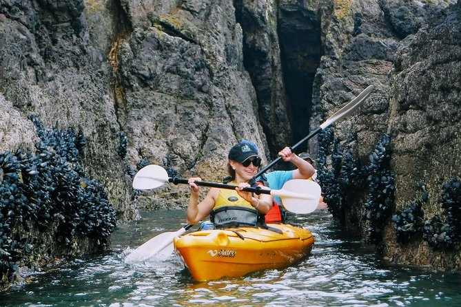 Shore Excursion Guided Sea Kayaking through Akaroa Marine Reserve - Why Akaroa Makes Sea Kayaking Feel Effortless