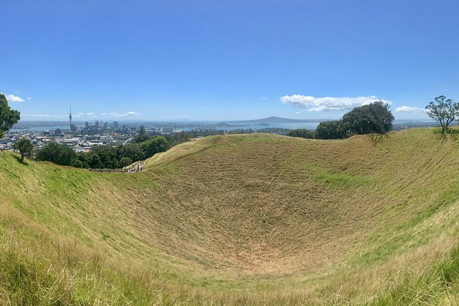 Shore Excursion: Half-Day Auckland Volcanoes Tour - Key highlights you should care about