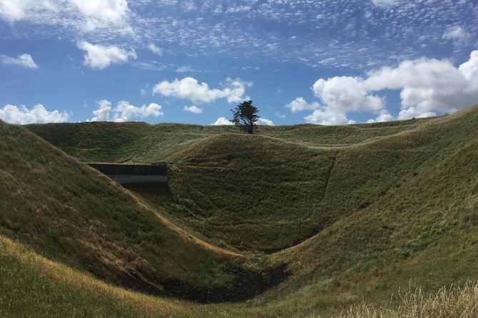 Shore Excursion: Half-Day Auckland Volcanoes Tour - Group size and pickup: the comfort math before you go
