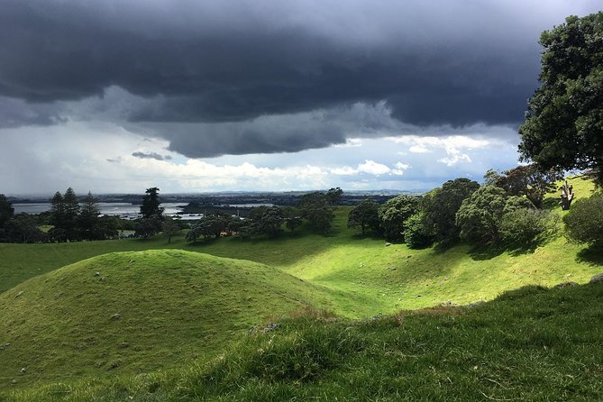 Shore Excursion: Half-Day Auckland Volcanoes Tour - What you actually learn: geology made practical, Maori stories handled with care
