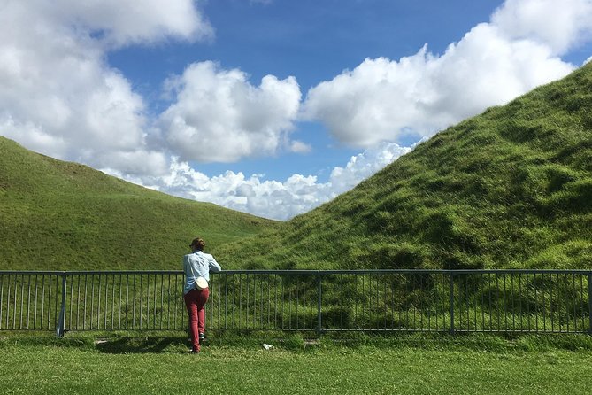 Shore Excursion: Half-Day Auckland Volcanoes Tour - Should you book this Auckland volcano shore tour?