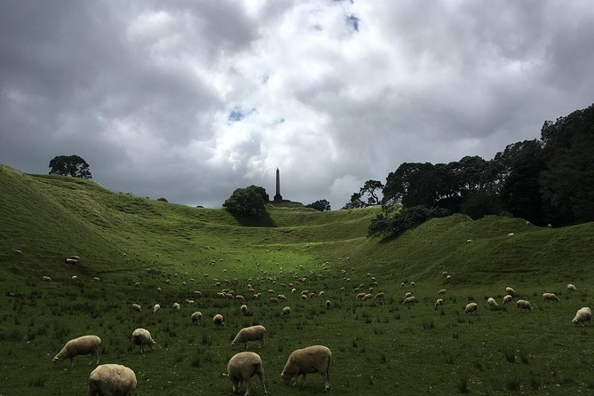 Shore Excursion: Half-Day Auckland Volcanoes Tour - Your volcano route in a half-day: Achilles Point to Mt Eden
