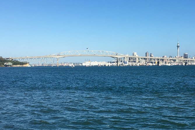 Shore Excursion: Half Day Small Group Auckland Scenic Tour - 4 HOURS - Where this tour shines, and where it may not fit