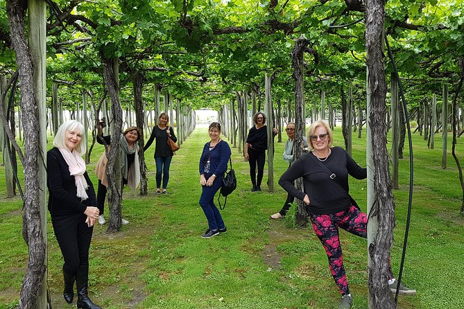 Shore Excursion Marlborough Wine Region Tour from Picton - Who This Tour Is Best For