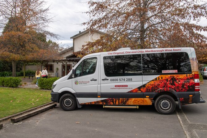 Shore Excursion Marlborough Wine Region Tour from Picton - Small-Group Comfort in a Van That Actually Lets You Talk