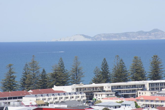 Shore Excursion: Napier and Surrounding Countryside Scenic Tour - Rolling through Napier’s original port area and the marine front