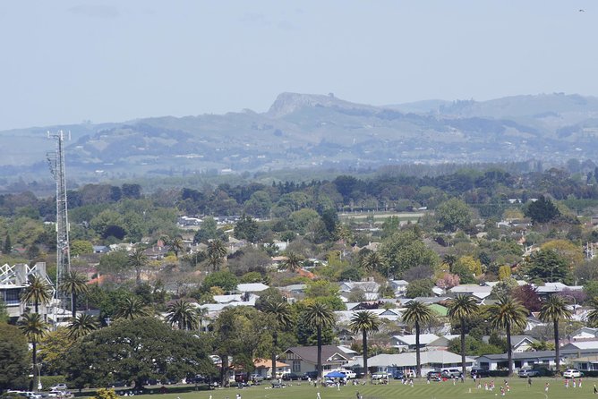 Shore Excursion: Napier and Surrounding Countryside Scenic Tour - The Art Deco bus ride and why the windows matter