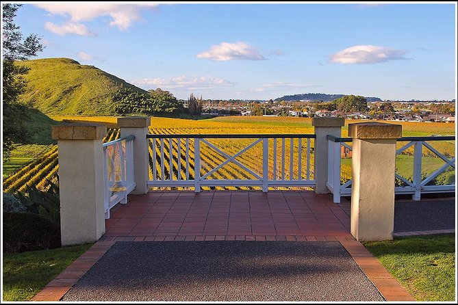 Shore Excursion: Napier/ Hawke's Bay & Premium Wineries tour - Brookfields Vineyards (and how the tour protects your tasting time)