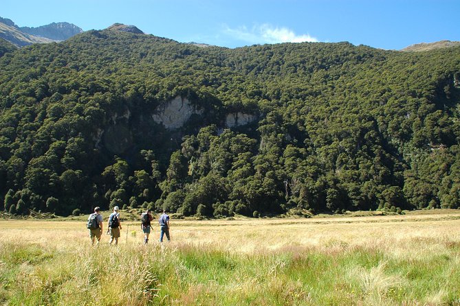 Siberia Experience:Fly-Hike-Jetboat:Wilderness Adventure:Wanaka - Hiking the Siberia River: Your Own Pace Through Remote Bush