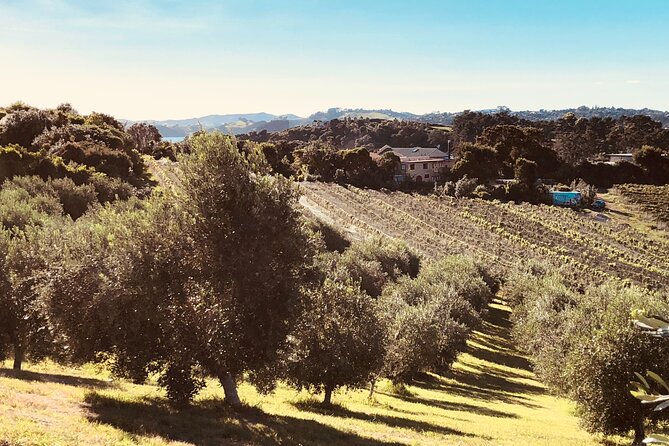 Sip & Savour through Waiheke Island (11 guests max) - Pickup, transport, and how not to lose time