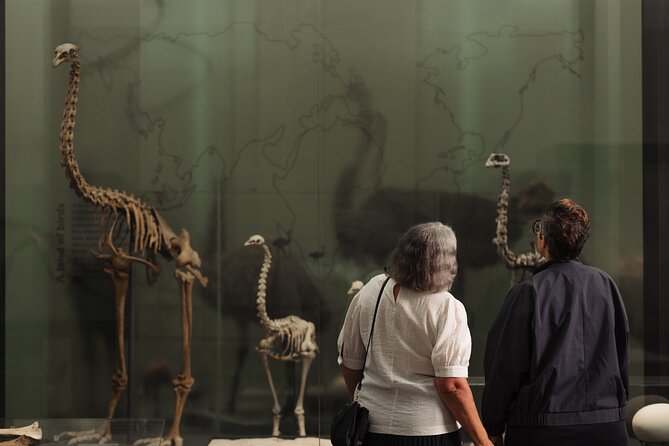 Skip the Line: Auckland Museum General Admission Ticket - What’s included, what isn’t, and how to plan your perfect 3 to 4 hours