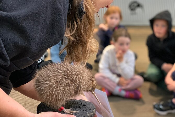 Skip the Line: Franz Josef Wildlife Center Ticket with Optional Backstage Pass - Quick hits before you go