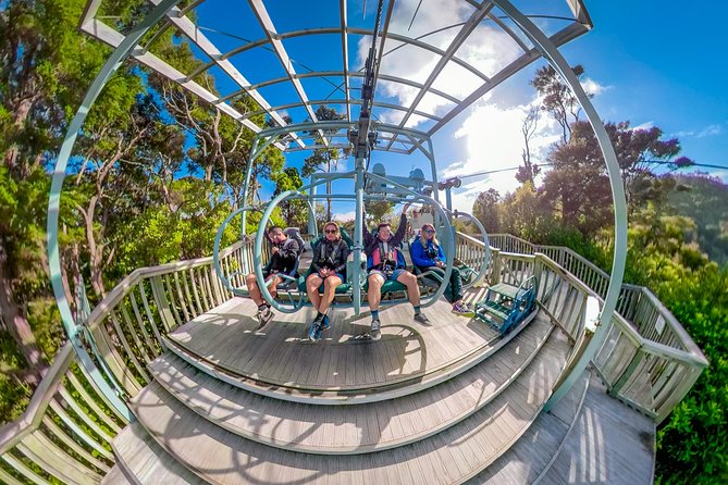 Skywire Adventure at Cable Bay, Nelson - The Base Cafe area and your pre-ride window