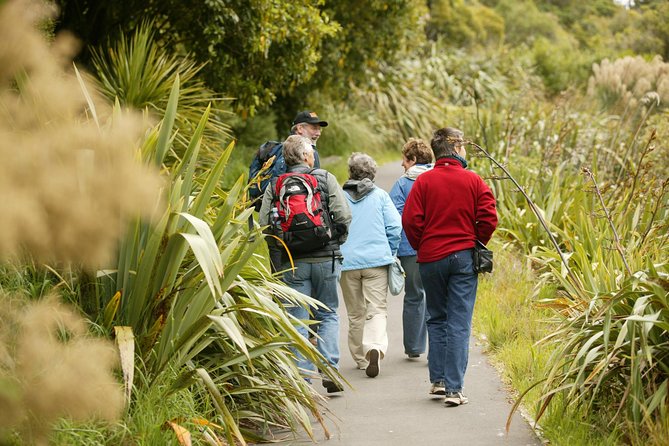 Small Group Daytime 2-Hour Eco Wildlife Tour at Zealandia - Bird sightings you can realistically aim for