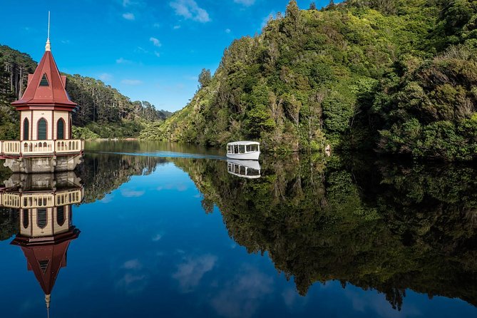 Small Group Daytime 2-Hour Eco Wildlife Tour at Zealandia - Guide quality and the small-group advantage