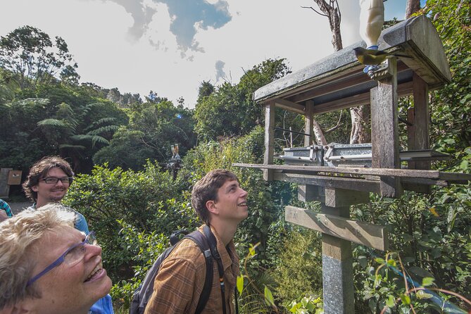 Small Group Daytime 2-Hour Eco Wildlife Tour at Zealandia - The 2-hour loop, tracks, viewpoints, and feeding stations
