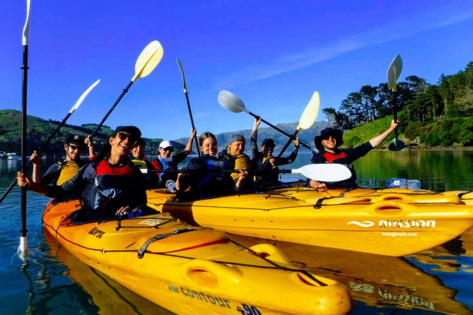 Small group guided sea kayaking in Akaroa marine reserve - Key things to know before you paddle