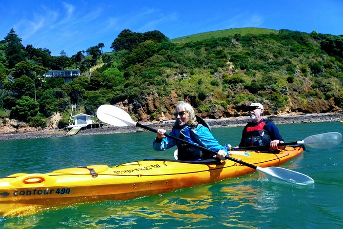 Small group guided sea kayaking in Akaroa marine reserve - Akaroa Marine Reserve: Why this volcanic setting is so good