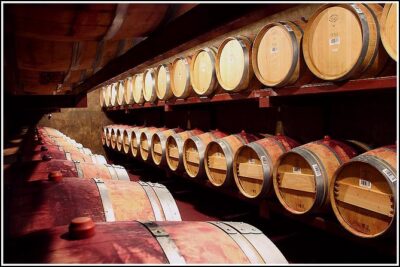 Small Group – Half-Day Hawke’s Bay Winery Tour