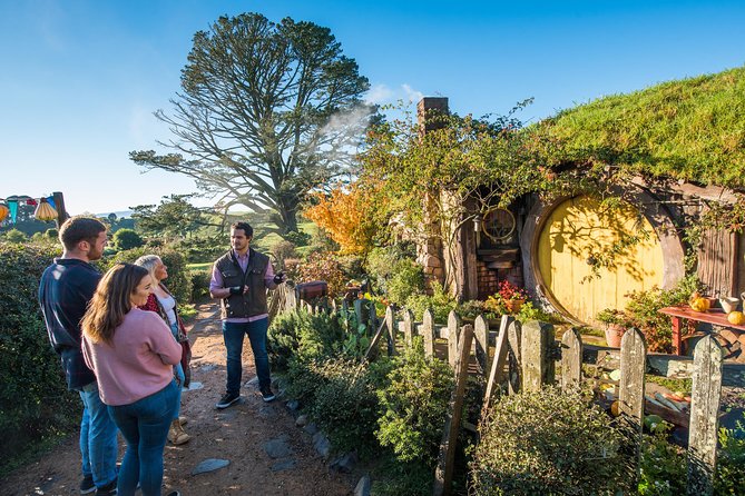 Small-Group Hobbiton Tour from Auckland with Party Marquee Lunch - Comfort on the long drive: Mercedes Sprinter and full on-board commentary