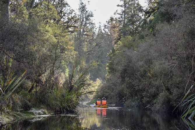 Small-Group Kayak Adventure from Franz Josef Glacier - Lake Mapourika paddle: calm water, mirror-like views, and real wildlife chances
