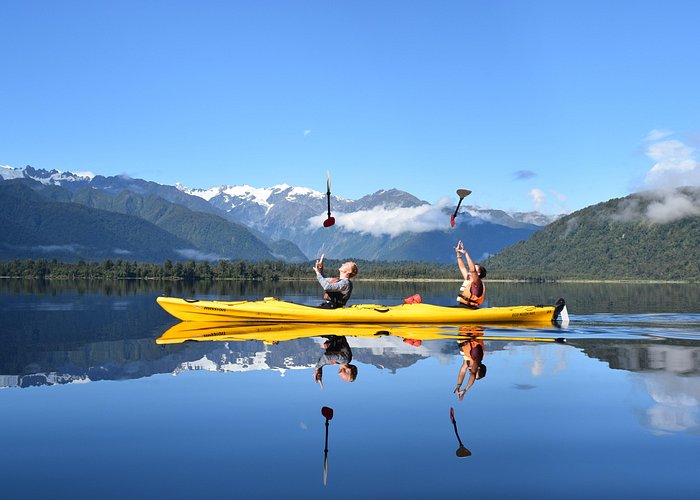 Small-Group Kayak Adventure from Franz Josef Glacier - Kiwi sanctuary in a protected estuary: what to expect up close