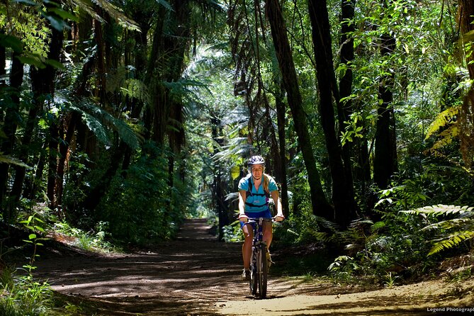 Small Group Northern Voyager 7 Days Tour - Northern Voyager at a glance: coast, volcano walks, and glow-worm caves