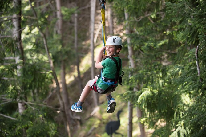 Small-Group Zipline Adventure in Queenstown - Picking the Right Course: Kereru Drop vs Kea Friendly Runs