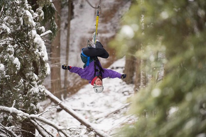Small-Group Zipline Adventure in Queenstown - What the 2 Hours Really Feel Like in the Air