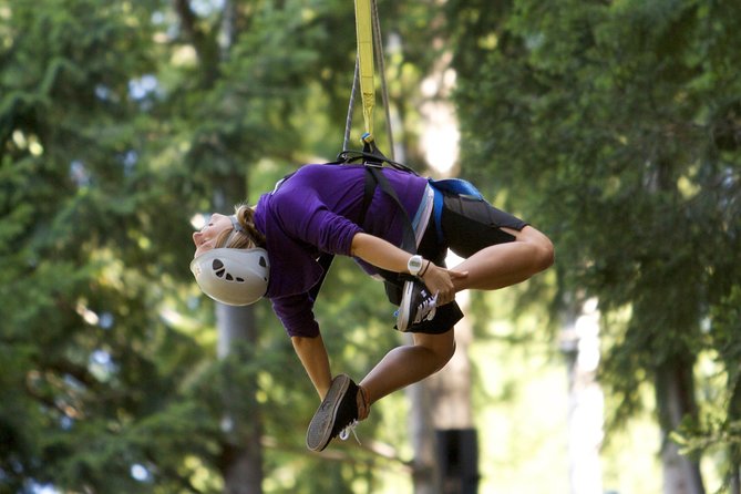 Small-Group Zipline Adventure in Queenstown - Value Check: Is NZ$73.85 Worth It Here?