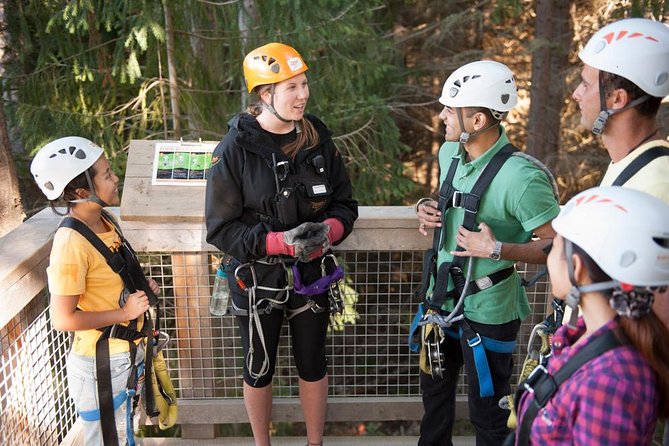 Small-Group Zipline Adventure in Queenstown - Getting to Ziptrek Treehouse: Why Skyline Timing Is Everything