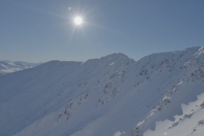 Southern Alps Scenic - The Chest Peak landing: the moment everything clicks