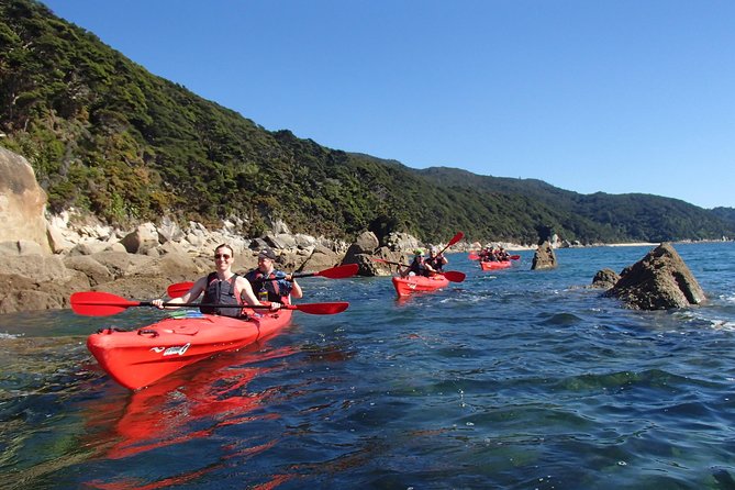 Southern Duo kayak & walk tour - Kayak-to-hike timing: why this combo works
