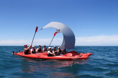 Southern Duo kayak & walk tour