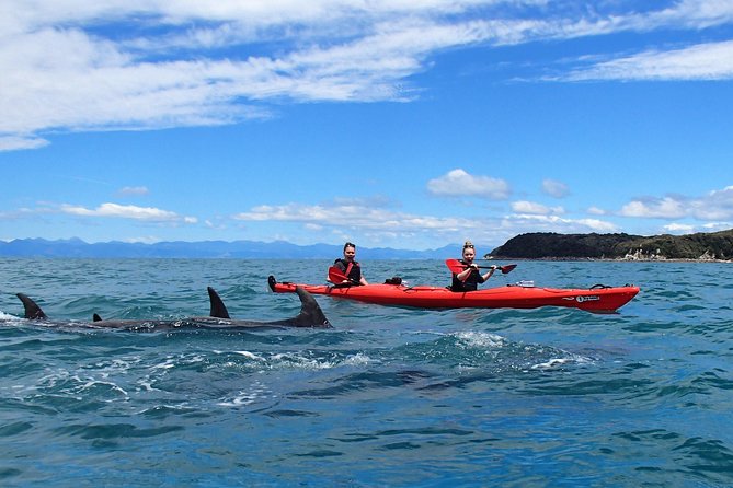 Southern Duo kayak & walk tour - Transition to hiking: flat paths and big viewpoints
