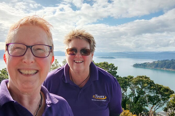 Spectacular Wellington: Full Day Private Sightseeing Tour - A private Wellington day that stays human and not rushed