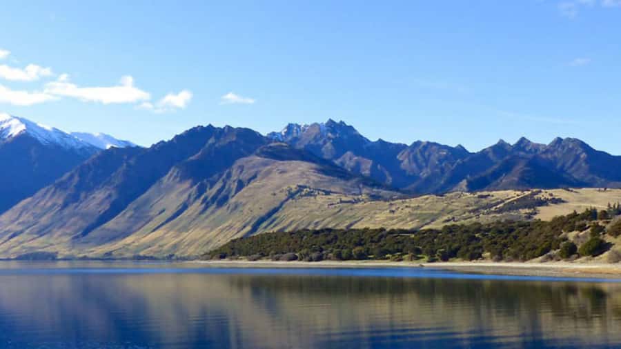 Stevensons Island 2-Hour Cruise and Nature Walk - What the guided nature walk adds once you’re off the boat