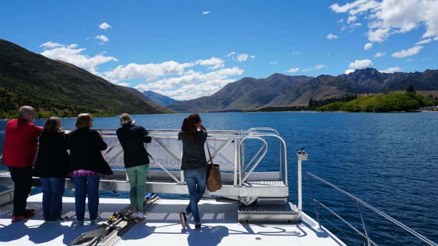 Stevensons Island 2-Hour Cruise and Nature Walk - Price and value: is $50 worth it?