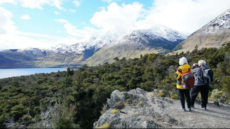 Stevensons Island 2-Hour Cruise and Nature Walk - Who should book this cruise and who might skip it