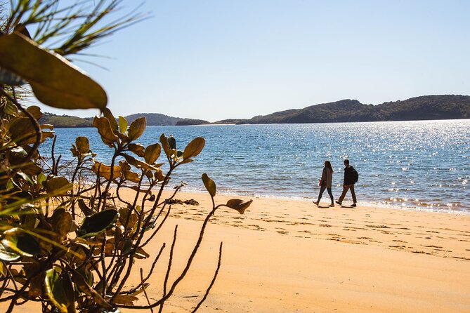 Stewart Island Fly Explore Fly ex Queenstown by Glenorchy Air - The Price Question: Is $526.87 Worth It?