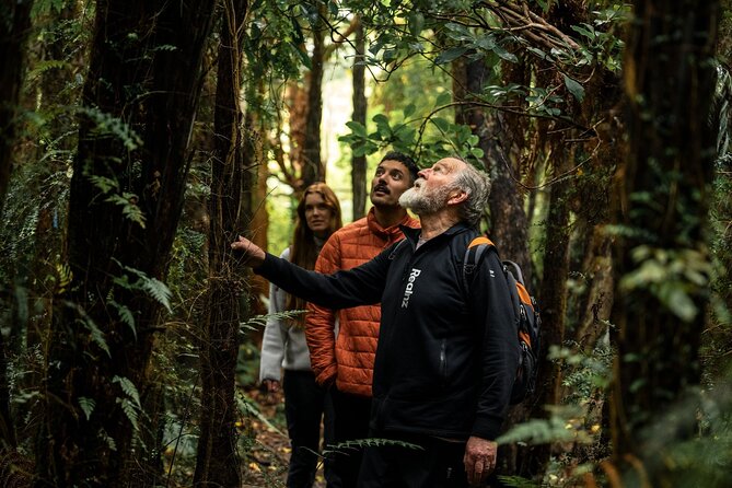 Stewart Island: Guided Wilderness Walk - Why Oneke, the Neck, feels different on Rakiura Stewart Island