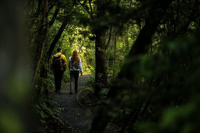 Stewart Island: Guided Wilderness Walk - Guide style and group size: why it feels friendly instead of rushed