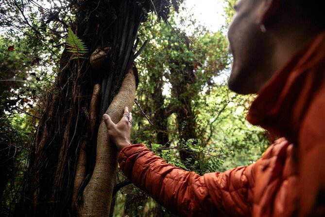 Stewart Island Guided Wilderness Walk - Who this tour fits best on Stewart Island