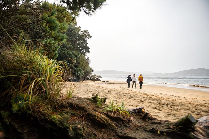Stewart Island Guided Wilderness Walk - Should you book the Stewart Island Guided Wilderness Walk?