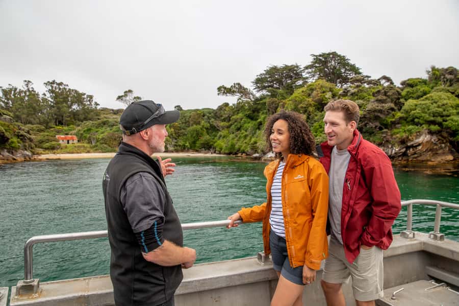 Stewart Island: Ulva Island Guided Wilderness Walk & Cruise - Key highlights you’ll actually care about
