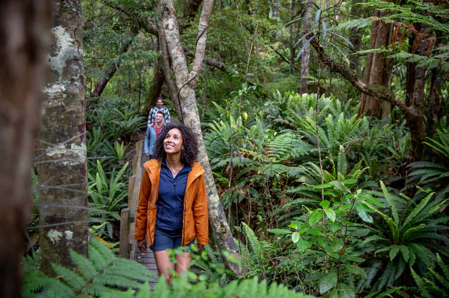 Stewart Island: Ulva Island Guided Wilderness Walk & Cruise - Should you book Stewart Island, Ulva Island Guided Wilderness Walk and Cruise?