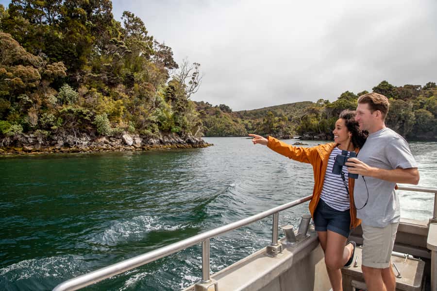 Stewart Island: Ulva Island Guided Wilderness Walk & Cruise - Stewart Island, Paterson Inlet, and Ulva Island in one smooth loop