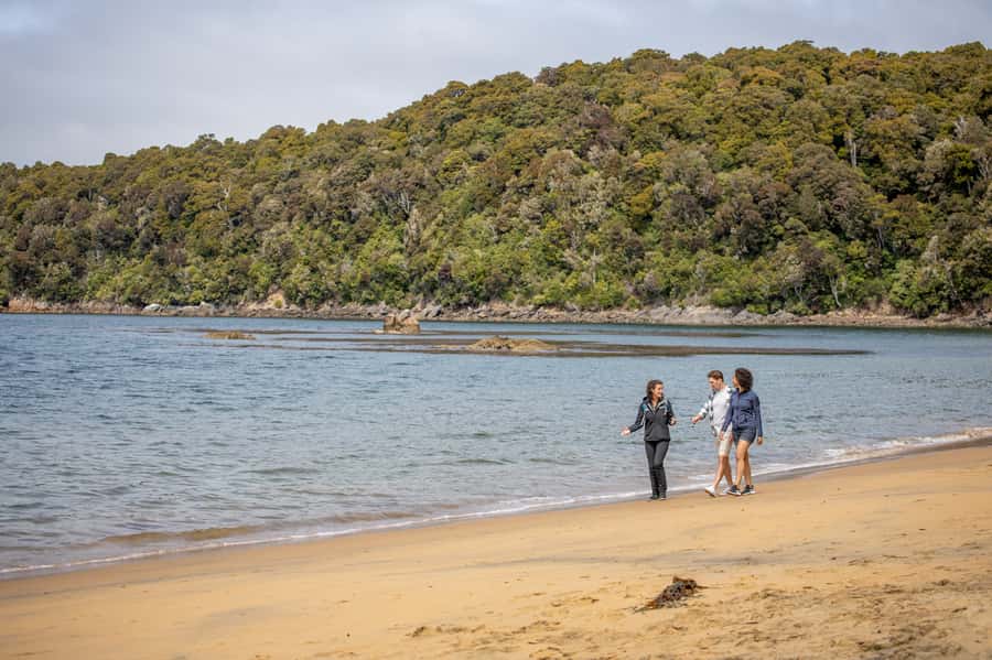 Stewart Island: Ulva Island Guided Wilderness Walk & Cruise - Ulva Island Wildlife Sanctuary walk: bird calls, rare plants, and easy paths