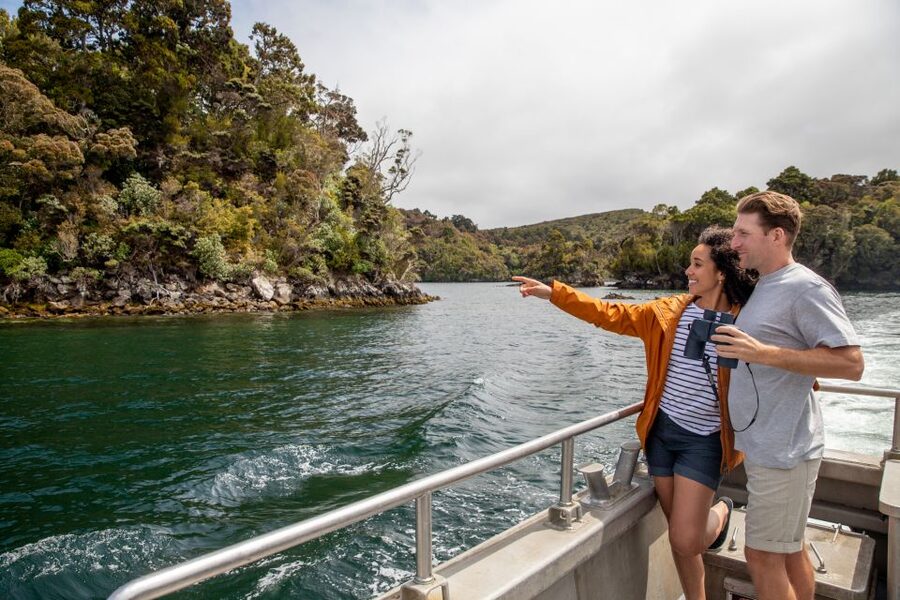 Stewart Island: Ulva Island Guided Wilderness Walk & Cruise - What 150 minutes really feels like on the day you go