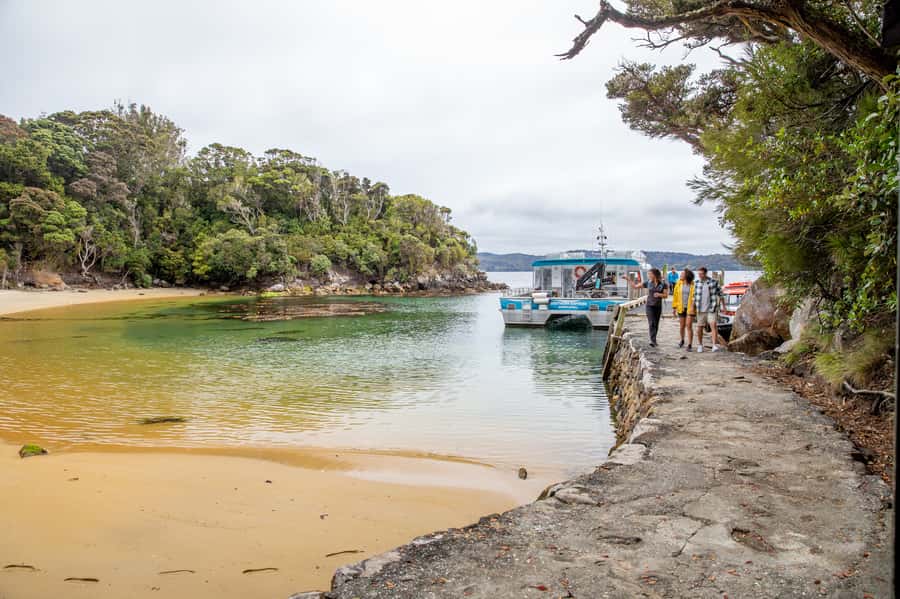 Stewart Island: Ulva Island Guided Wilderness Walk & Cruise - What to bring and how to dress for Stewart Island weather